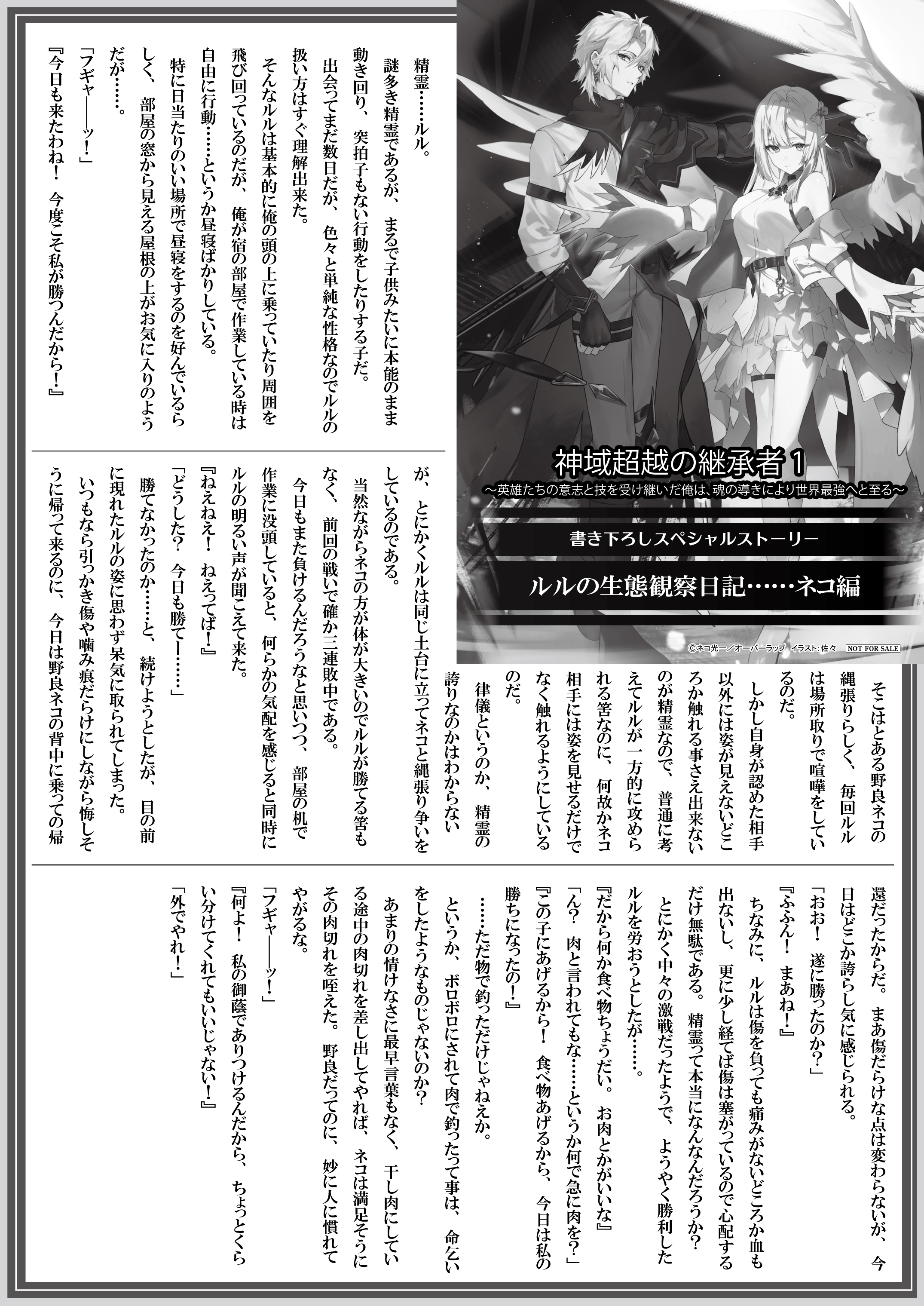 【文庫】【特約店】『神域超越の継承者 1　～英雄たちの意志と技を受け継いだ俺は、魂の導きにより世界最強へと至る～』B5SSペーパー